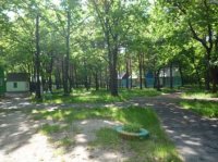 Путевки в детский оздоровительный центр "Салют" Путевки в детский оздоровительный центр "Салют"
