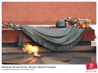 Школьники из Германии посетили Мичуринск Школьники из Германии посетили Мичуринск