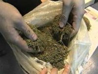 Житель Моршанска пойман с килограммом марихуаны Житель Моршанска пойман с килограммом марихуаны