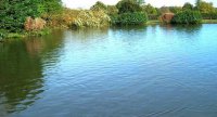 В Уварово завершаются работы по благоустройству пруда В Уварово завершаются работы по благоустройству пруда