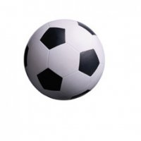 Мужская «Академия футбола» дома проведет матч с брянским «Динамо»