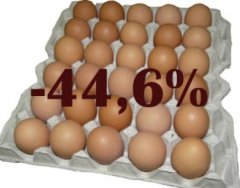 В Тамбовской области выросло производство мяса и снизилось производство яиц