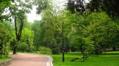 В Тамбове разобьют парк и сквер В Тамбове разобьют парк и сквер
