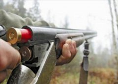 На Тамбовщине из-за жары приостановили охоту На Тамбовщине из-за жары приостановили охоту
