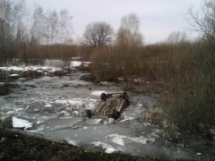 Под Тамбовом иномарка съехала в водоем. Два человека погибли Под Тамбовом иномарка съехала в водоем. Два человека погибли