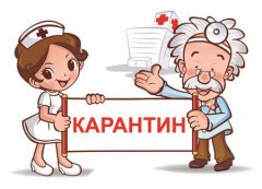 В отдельных тамбовских школах продлили карантин В отдельных тамбовских школах продлили карантин