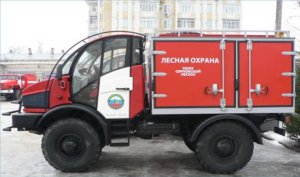 Затраты на тушение возгораний в лесах Тамбовской области снизились на 30%