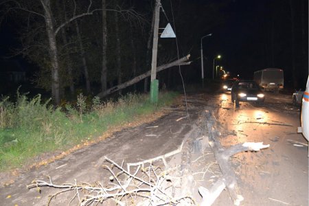 На автомобиль упало дерево, пострадали 3 человека