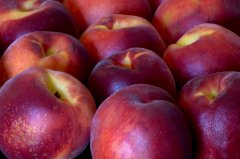 � �������� ���������� 8 ���� ���������� ����������, ����������� �� ������