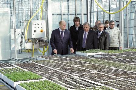 В Пензенской области реализуют тепличный проект стоимостью более 500 млн рублей