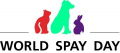    SpayDay