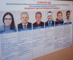 Явка на довыборах депутата в областную Думу составила 35% 