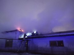 В Тамбове на улице Бастионная загорелся склад с пиломатериалами В Тамбове на улице Бастионная загорелся склад с пиломатериалами