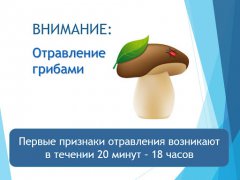 В Тамбовской области зарегистрировано 8 случаев отравления грибами