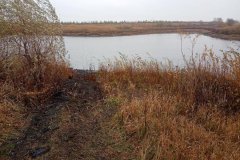 Найден очередной труп в Жердевском районе Найден очередной труп в Жердевском районе