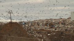 ООО «КомЭк» осуществляет деятельность с грубым нарушением закона ООО «КомЭк» осуществляет деятельность с грубым нарушением закона