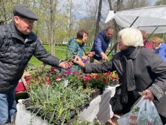 В Тамбове стартовал фестиваль цветов