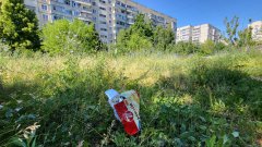 Депутат заявил, что администрация обязана убирать городские земли Депутат заявил, что администрация обязана убирать городские земли