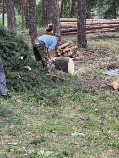 В Пригородном лесу начали вырубать очередную зону отдыха