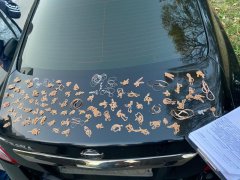 Полиция задержала вора, похитившего ювелирные украшения Полиция задержала вора, похитившего ювелирные украшения