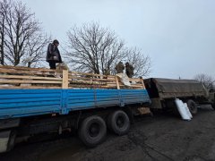 ����������� �������� � �������� ��������� ������������ ������ ������ � ����������� �������